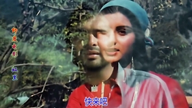 电影奴里的自然之旅,探寻内心宁静与自然的魔法力量