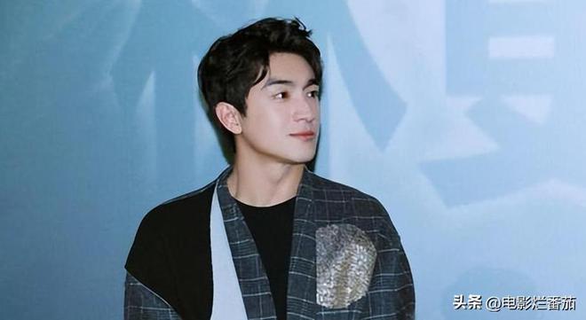 四字男明星,识别与深度了解