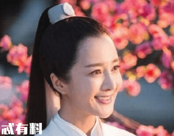 扶摇电视剧演员表深度解析，角色与演员匹配度探究