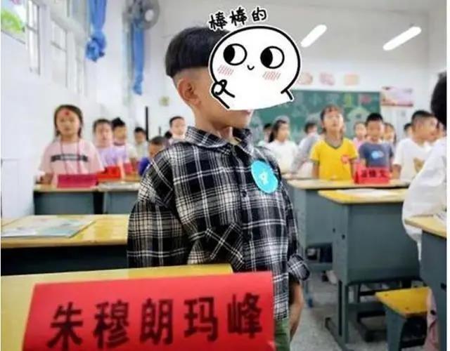开学季精彩视频大盘点——友情相伴的校园时光回顾