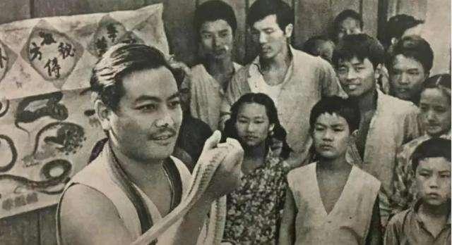 女院长身边的神秘医生最新动态与小巷特色小店探秘揭秘