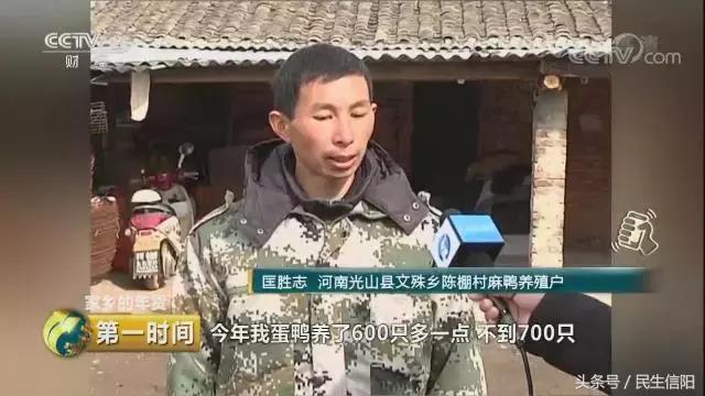 鸭蛋行情今日报价及市场走势与产业影响分析