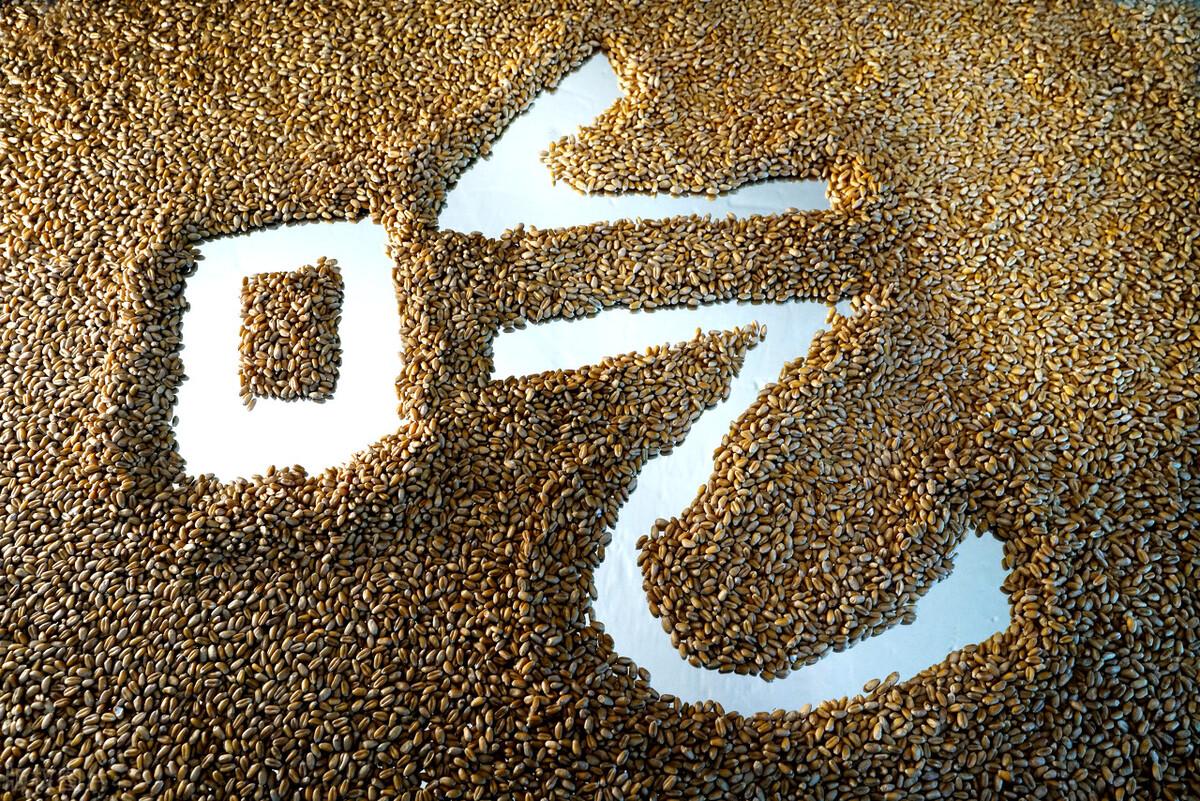 全国小麦最新行情详解,获取与分析市场动态的方法与策略