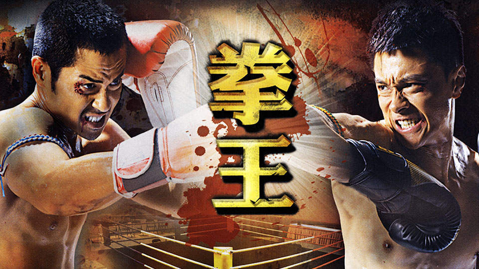 拳王演员表,赛场友情的碰撞与家的温馨时刻