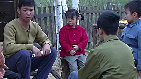 紫陀螺演员阵容介绍