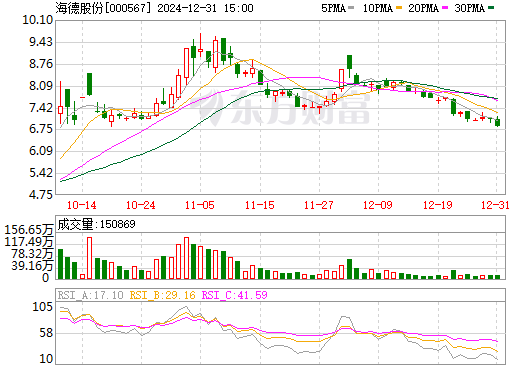 海德股份股票,投资视角与深度解析