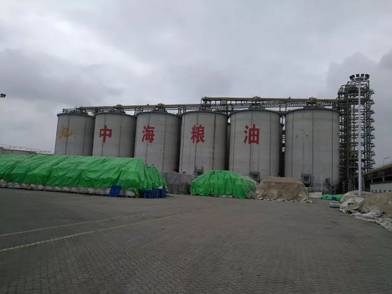 中海粮油最新职位招聘，携手共启探索自然美景之旅！