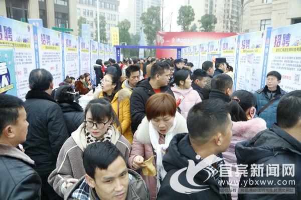 南溪区最新招聘资讯，变化中的自信，学习铸就未来之路