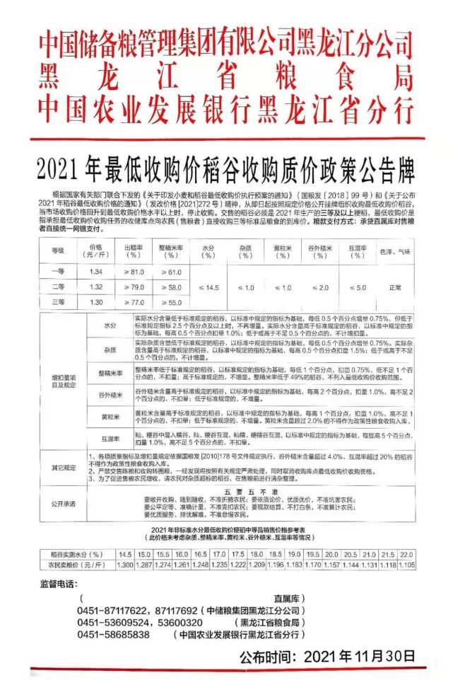 今日稻谷价格行情更新报告,最新价格及市场走势分析