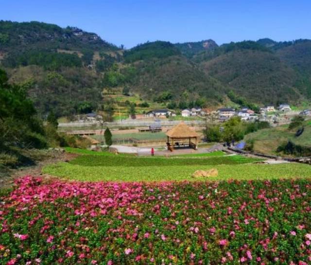 关坝镇凉风美景图,未来生活的科技魅力视觉盛宴