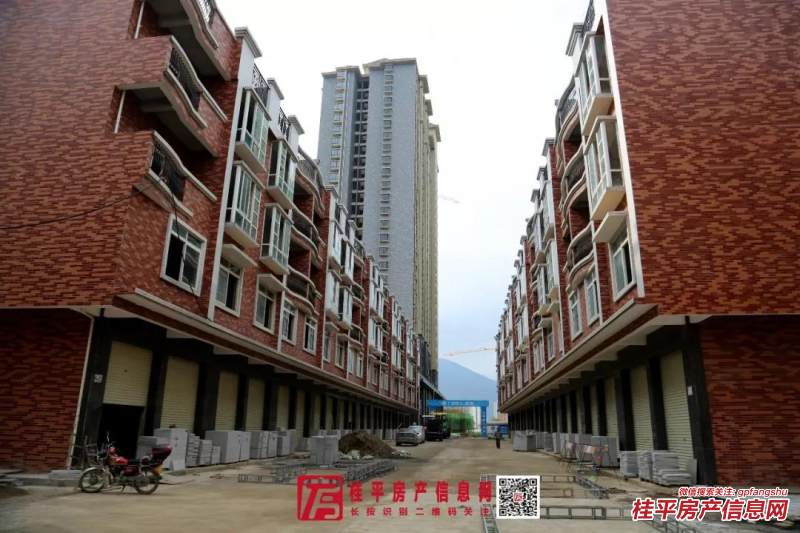 昭平房价动态，市场趋势及前景展望