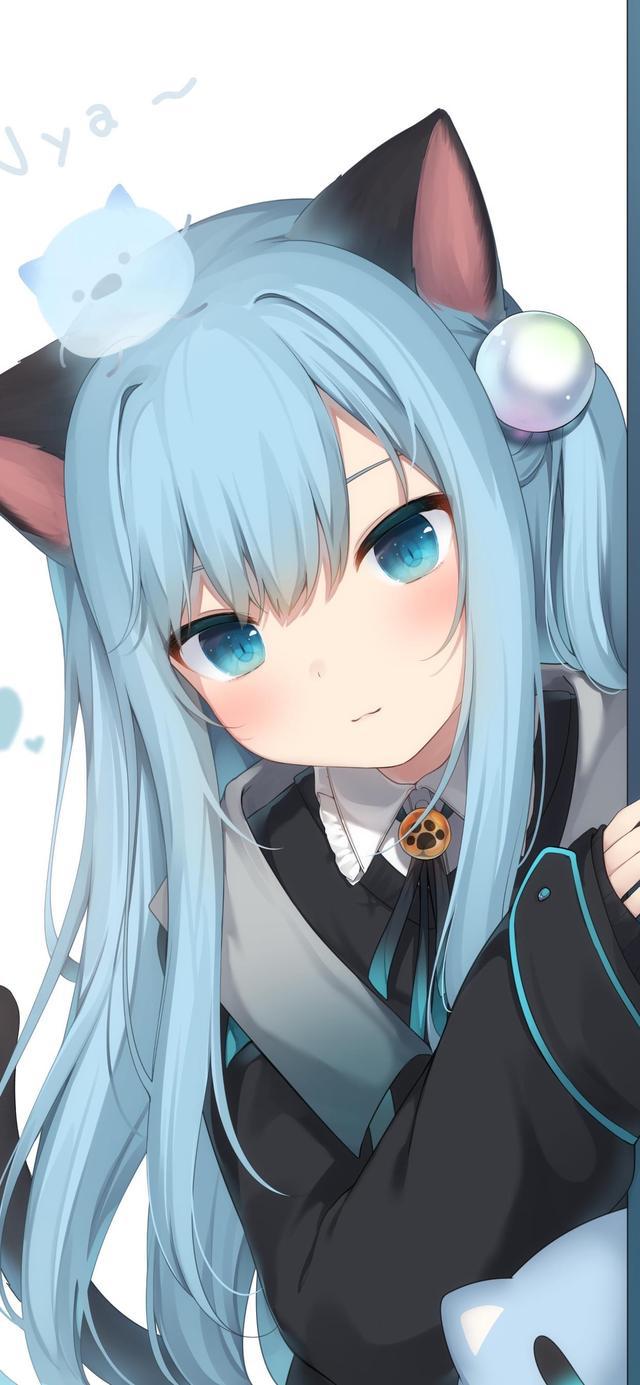 猫女动漫，魅力与奇幻的完美融合