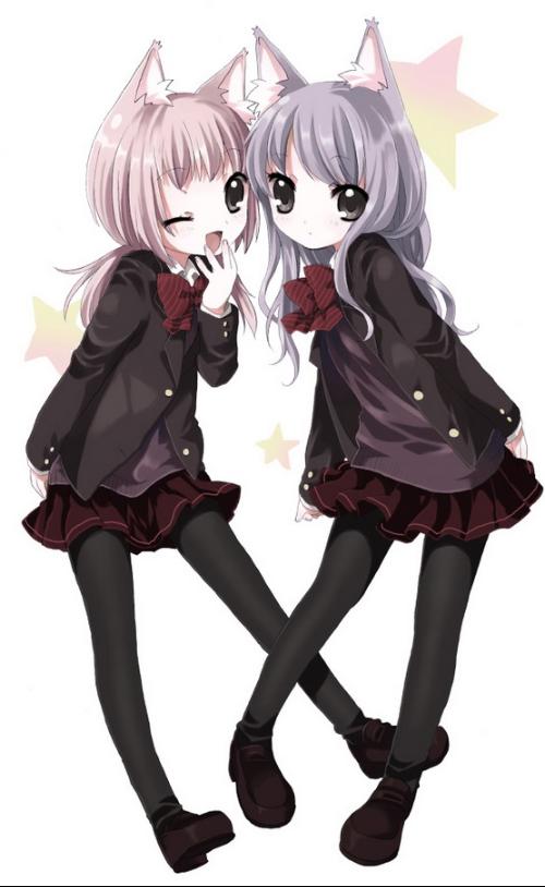 猫女动漫,魅力与奇幻的完美融合