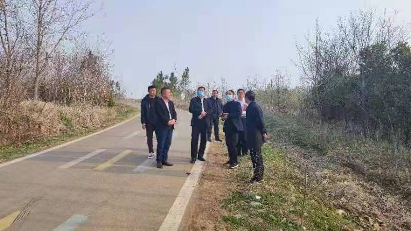 明光市苏巷镇发展规划揭秘，共创未来辉煌，梦想起航新篇章