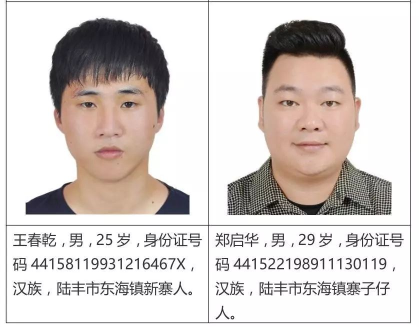 陆丰刘昭群最新动态，温馨日常的点滴记录