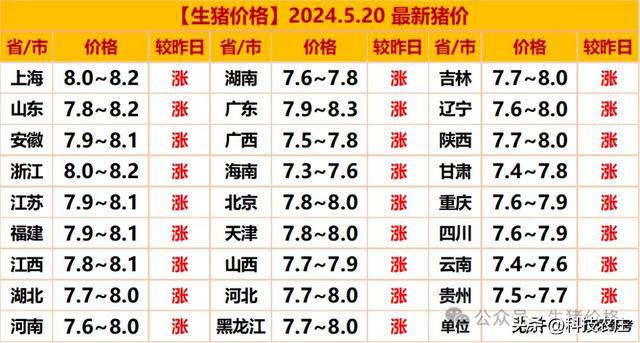 当前猪价行情深度探讨与分析，市场走势与影响因素解析