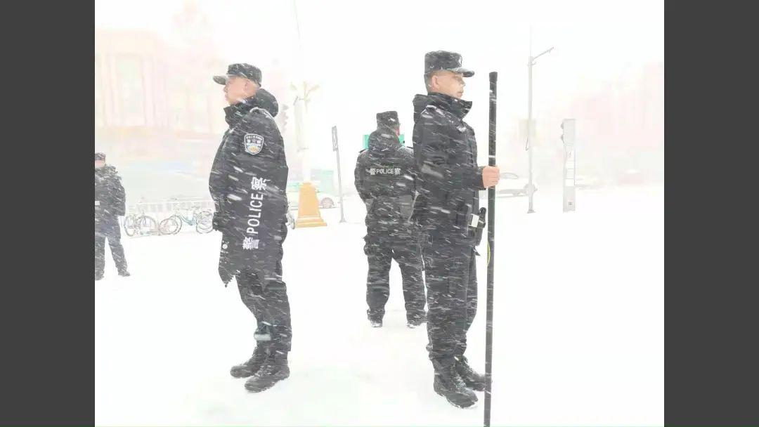 呼伦贝尔车祸实时更新,最新情况报告