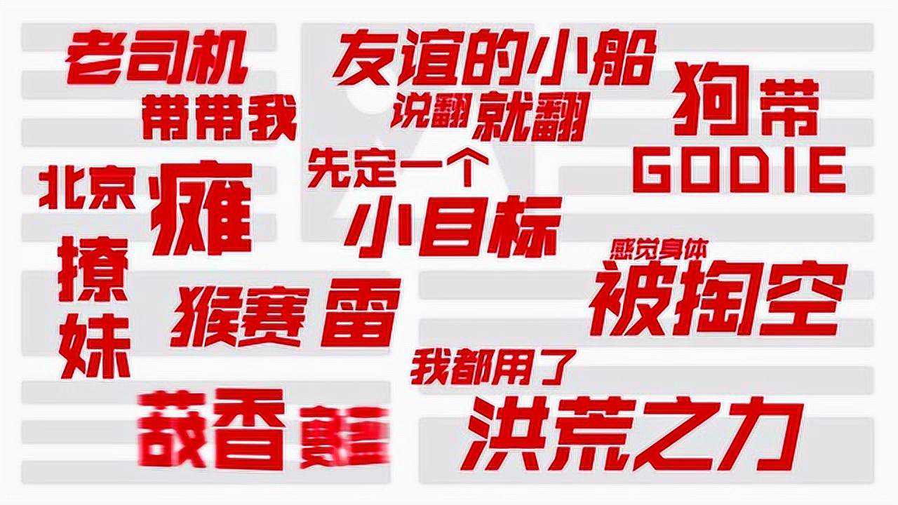 最新网络流行语盘点，温馨有趣的日常故事中的热门词汇概览