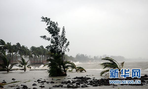 文昌台风实时更新,最新动态报告