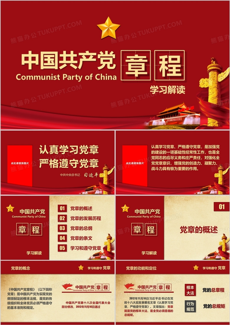 最新党章解读,深入探析某某观点