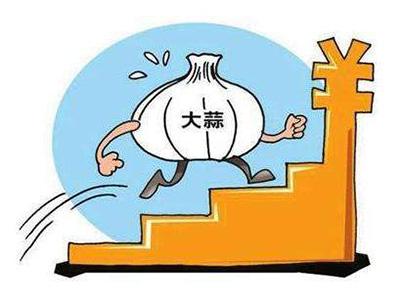 今日大蒜行情深度解析与预测