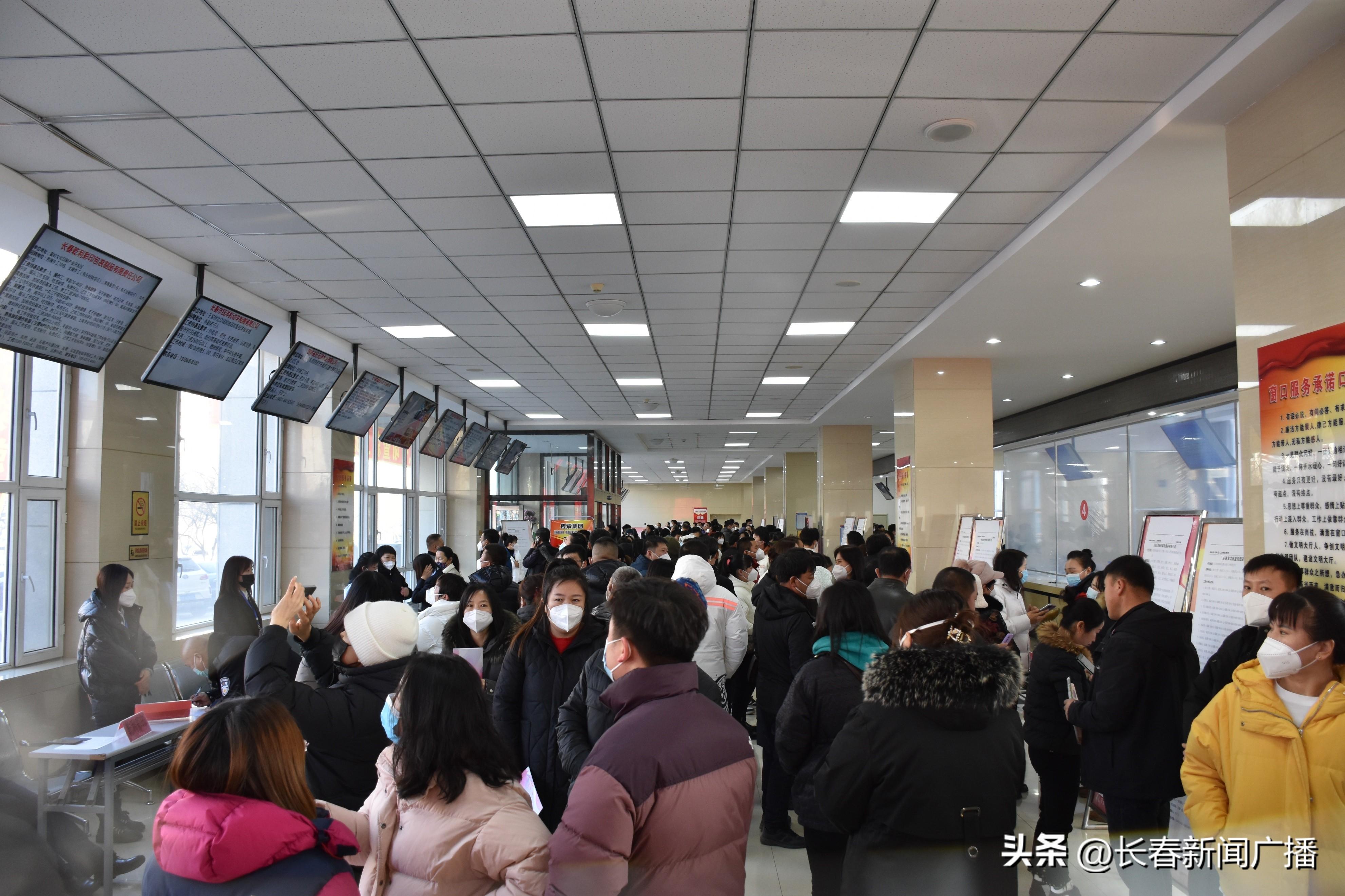 双阳最新职位招聘，工作与友情的奇妙交汇点