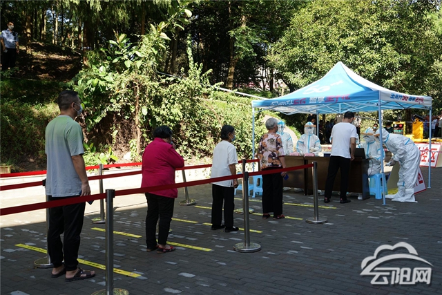 云阳最新疫情动态，科技助力城市守护战
