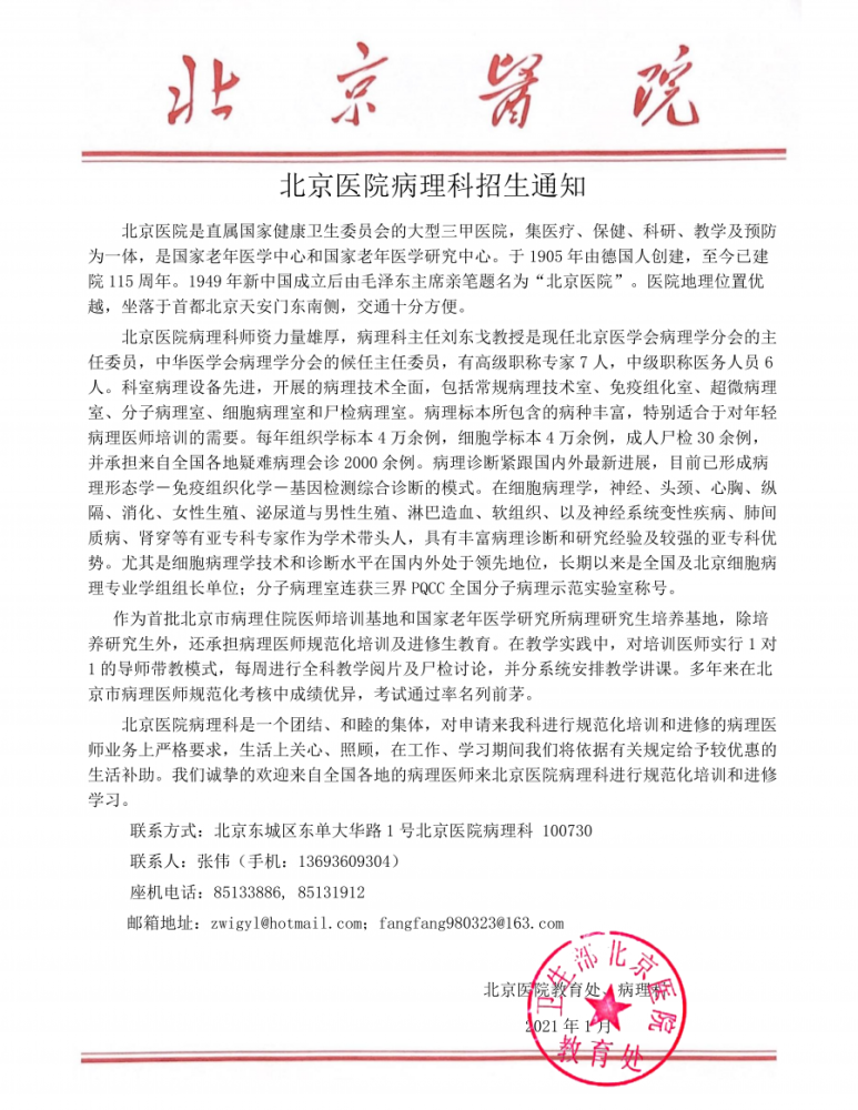 北京最新病理,一段温馨的日常故事