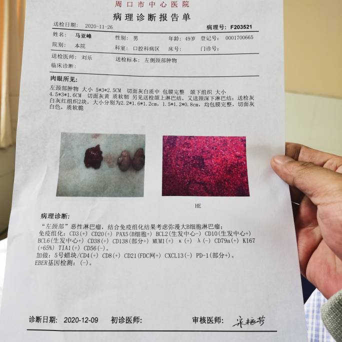 北京最新病理,一段温馨的日常故事