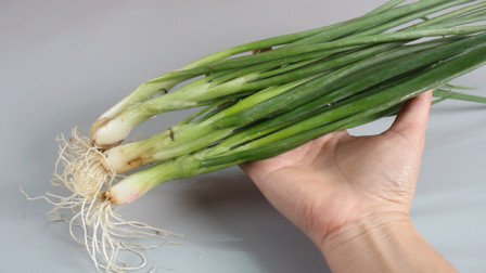 汶上最新资讯,时代脉搏与地域印记的融合