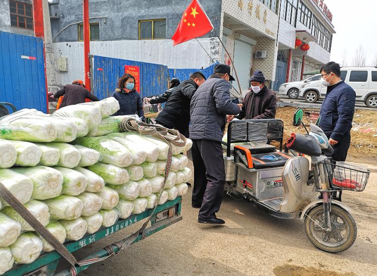 汶上最新资讯,时代脉搏与地域印记的融合