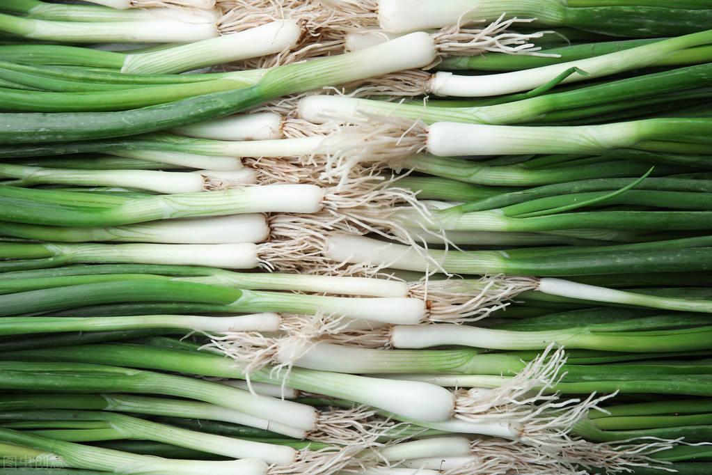 国际大蒜价格信息揭秘,一场自然美景的探寻之旅