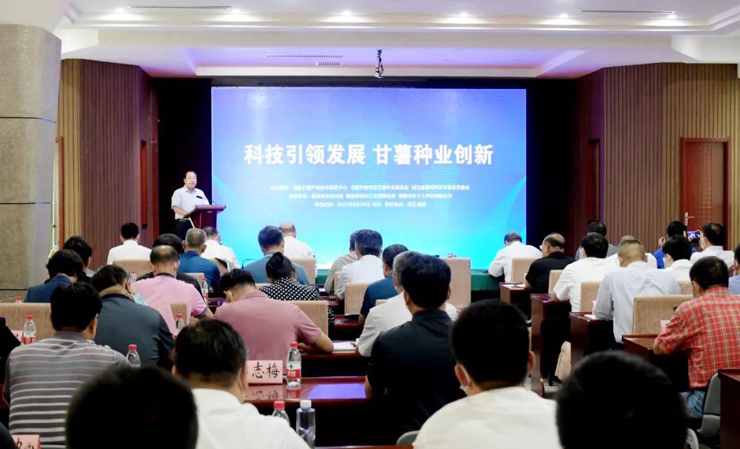 河北种业最新动态,种子中的希望与未来力量展望