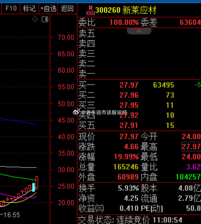 探索300260股票,背景、重要事件与地位分析