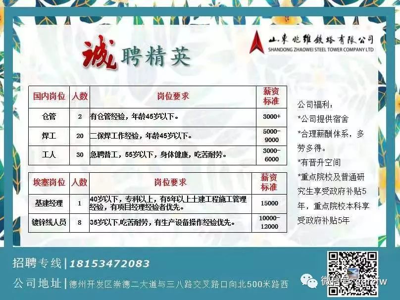 深圳2019年最新招聘动态,变化带来自信与成就感,学习铸就未来辉煌职业道路
