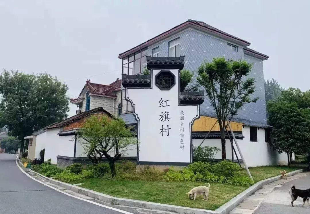 富阳东洲岛规划更新最新动态