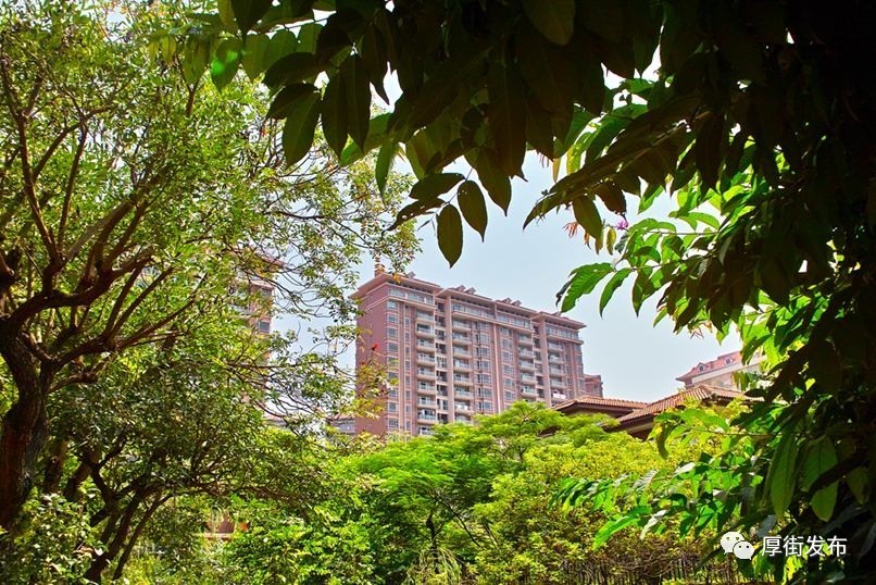 麻涌二手房最新资讯,巷弄深处的惊喜房源探索