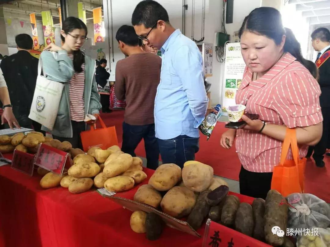 滕州新媒体资讯速递概览