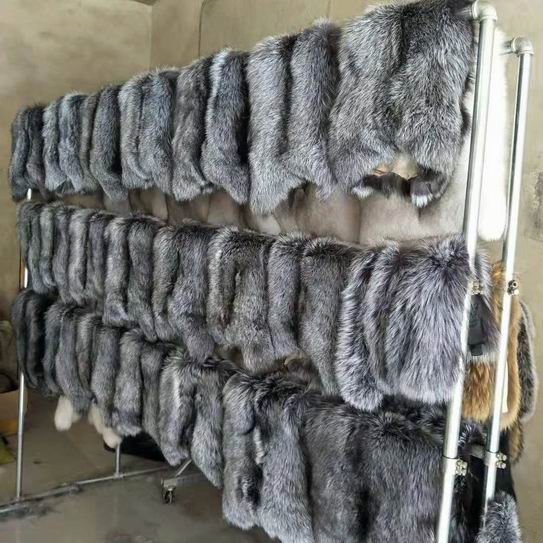 尚村狐狸皮最新价格解析与探讨