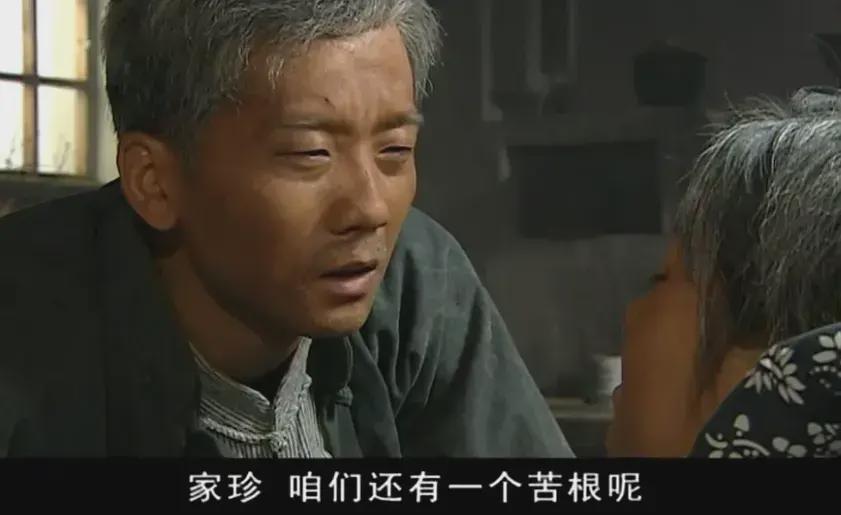 电视剧福贵演员表,友情、家庭与爱的交织故事