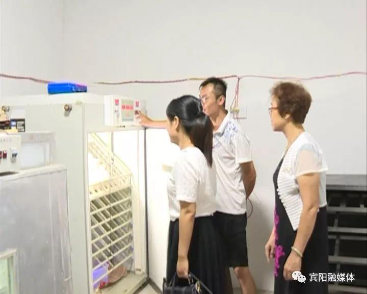 孔雀王子,自然之旅与内心的宁静演员一览表