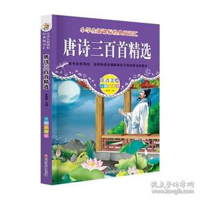 最新小学古诗精选,教育文化中的璀璨瑰宝