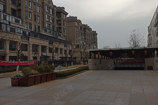 枣庄瑞嘉容园最新资讯，巷弄深处的惊喜——特色小店魅力展示