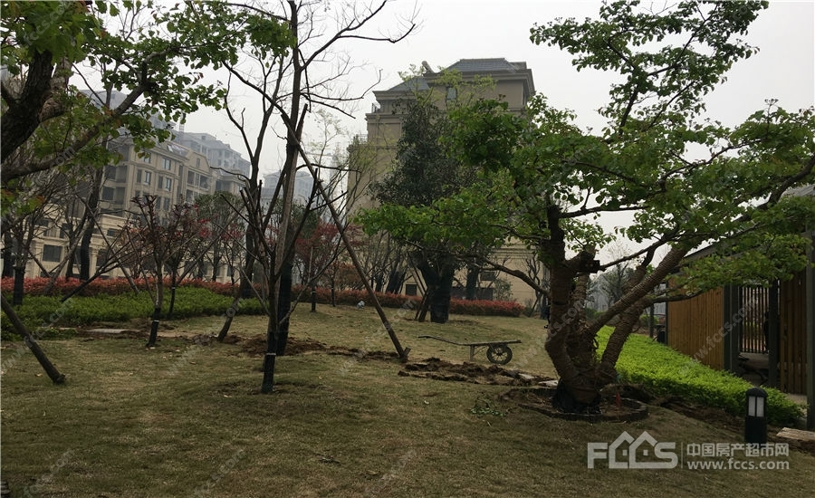 枣庄瑞嘉容园最新资讯,巷弄深处的惊喜——特色小店魅力展示