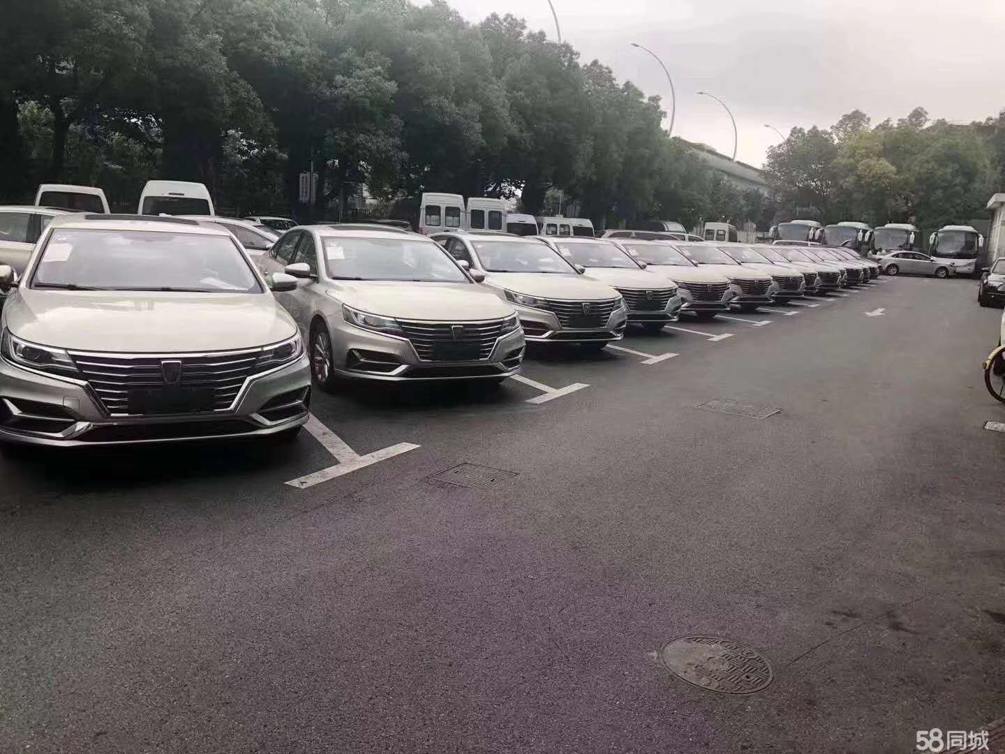 上海Y牌网约车最新动态揭秘,行业变革中的多维度探讨