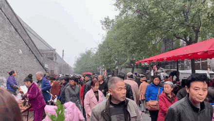 西安最新动态,掌握新技能与任务的详细步骤指南