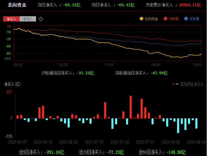最新领涨股票,市场热点与投资机遇深度解析
