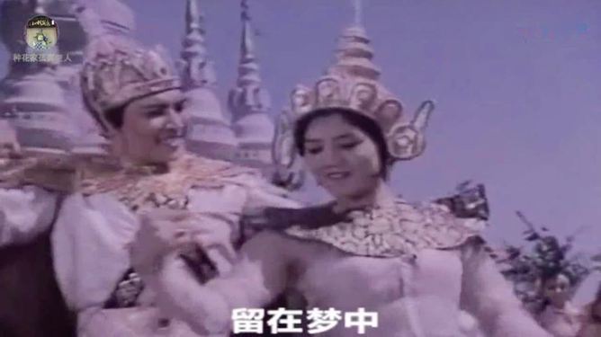 孔雀公主电影插曲,音乐与情感的完美融合