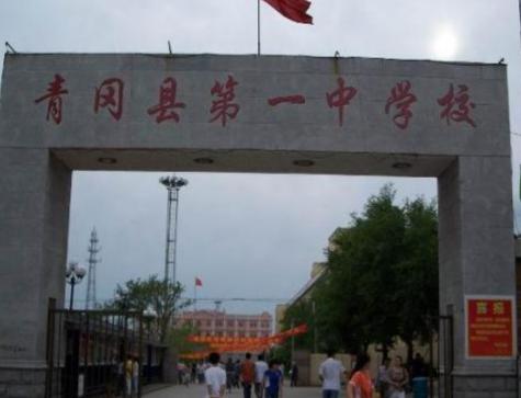 青冈一中最新动态,日常趣事与情感纽带揭秘