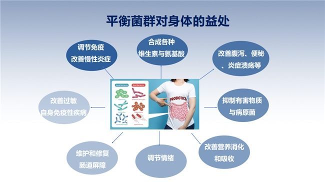 益生菌最新研究成果概览,引领健康新趋势